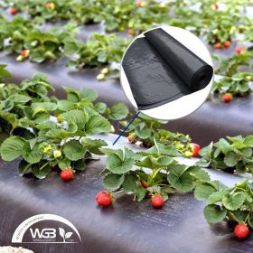   Talajtakaró fólia - fekete - 0,5m x 0,03mm x 500m UV Stabil