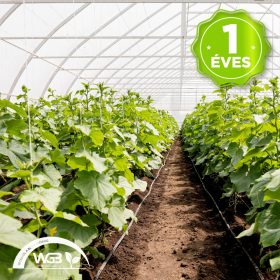   Belső fólia 1,8m x 0,04mm x 500m  1 éves (Hőszigetelő + UV stabil) S1B