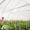 16m x 0,17mm x 52m 3 éves UV stabil sátorfólia 