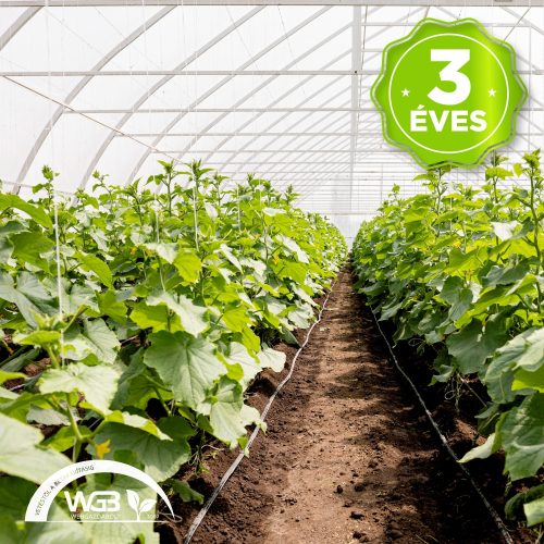 Sátorfólia 12m x 0,17mm 3 éves UV stabil (Kimért)