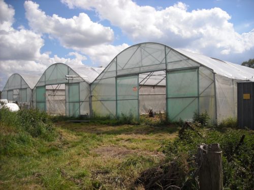 Raschel háló / Árnyékolóháló  8,35m széles kimérve 