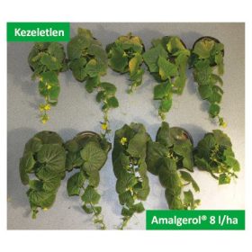 Amalgerol Prémium 1L talaj- és növénykondícionáló