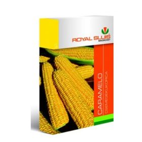 RS 4 árk. Csemegekukorica Caramelo 100 szem