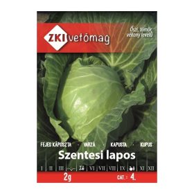 ZKI 4. kat. Fejeskáp, Szentesi lapos  