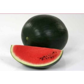 Görögdinnye Red Star F1 1000 szem Nunhems