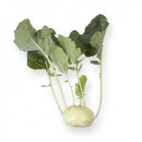 Karalábé Drava 2500 szem RZ