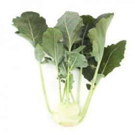 Karalábé Morre 2500 szem RZ