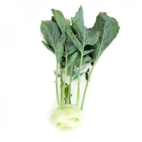 Karalábé Siret 2500 szem RZ