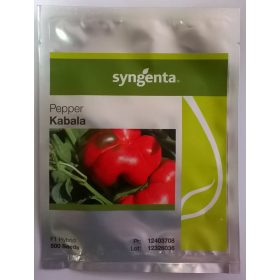 Paprika Kabala F1 500 szem SG