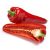 Paprika Kaptur Kápia 1000 szem RS