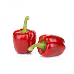 Paprika Sondela 100 szem RZ