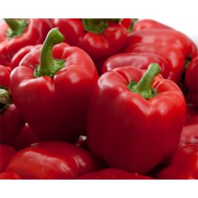 Paprika Yecla 500 szem SG