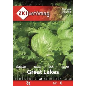 Saláta Great Lakes Jégsaláta 3g ZKI