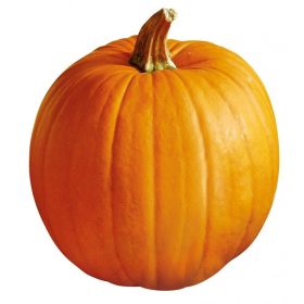 Halloween Tök Aspen 100 szem Veritas