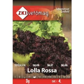 Saláta Lolla Rossa 3g ZKI 