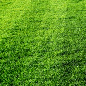 Genezis speciális gyepműtrágya 5 kg