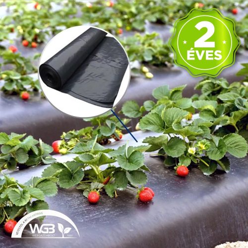 Talajtakaró eperfólia - fekete - 1,2m x 0,03mm x 500m - 2 éves Lyukasztás nélkül