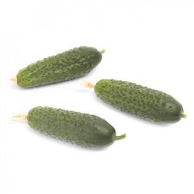 Uborka Kybria 12-67 1000 szem RZ