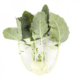 Karalábé Cindy 2500 szem RZ