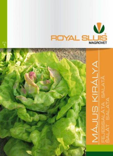 Saláta Május Királya 2,5 g RS
