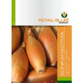 Hagyma Sonka 1 g RS