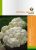 Karfiol Suprimax 0,5 g RS