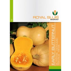 Sütőtök Early Butternut 3g Royal
