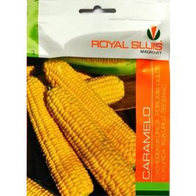 RS 1 árk. Csemegekukorica Caramelo 5 g