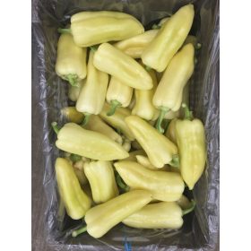Paprika Bravia 1000 szem RZ