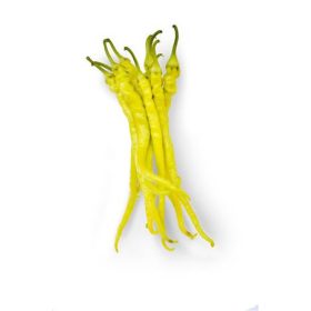 Paprika Édes Spirál 1000 szem ZKI