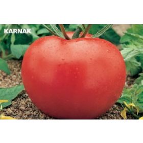 Paradicsom Karnak F1 250 szem Orosco