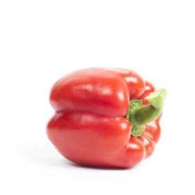 Paprika Red Jet 1000 szem RZ