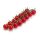 Paradicsom Genery 100 szem RZ