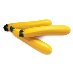 Cukkini Golden Glory 500 szem SG