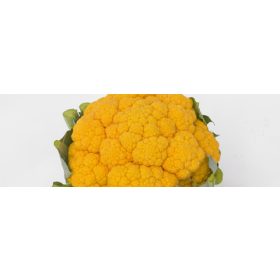 Karfiol Clementine F1 2500 szem SG