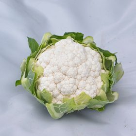 Karfiol Kamino F1 (SGC 2839) 2500 szem SG