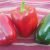 Paprika Balta F1 500 szem SG