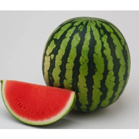 Görögdinnye Margay 1000 szem Orosco