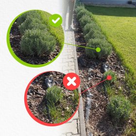   Basacote tabletta 16-8-12+TE 6M  évelő növényekhez (Növénydoktor)