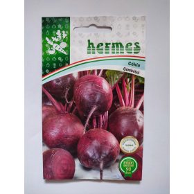 HERMES 2. kat. Cékla Detroit 120 szem