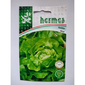 HERMES 2. kat. Saláta Korai Hajtatós Gigant 700 szem