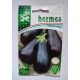 HERMES 2. kat. Tojásgyümölcs Black Beauty 200 szem