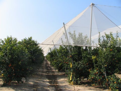 Jégháló átlátszó (clear) 3m x 50 méter tekercs