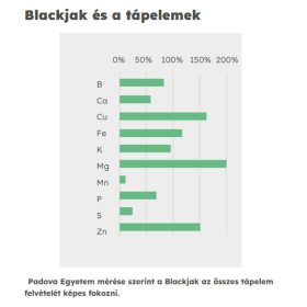   Blackjak talajjavító készítmény (humusz) - 0,2l - Danuba Garden