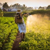 Lombtrágyák / Vízoldható műtrágyák