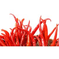 Chili különlegességek