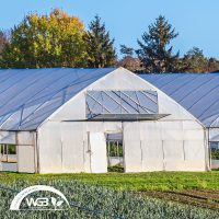 Agrofóliák: Sátorfóliák